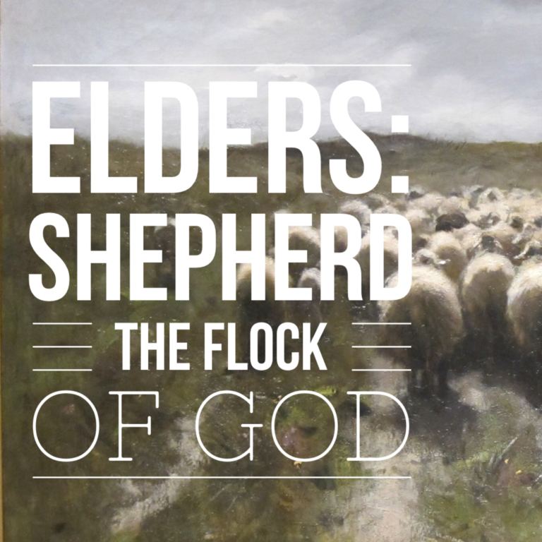 Elders shepherd the flock of God Acts 202838